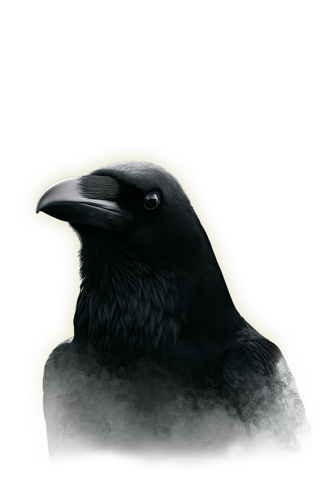 Raven